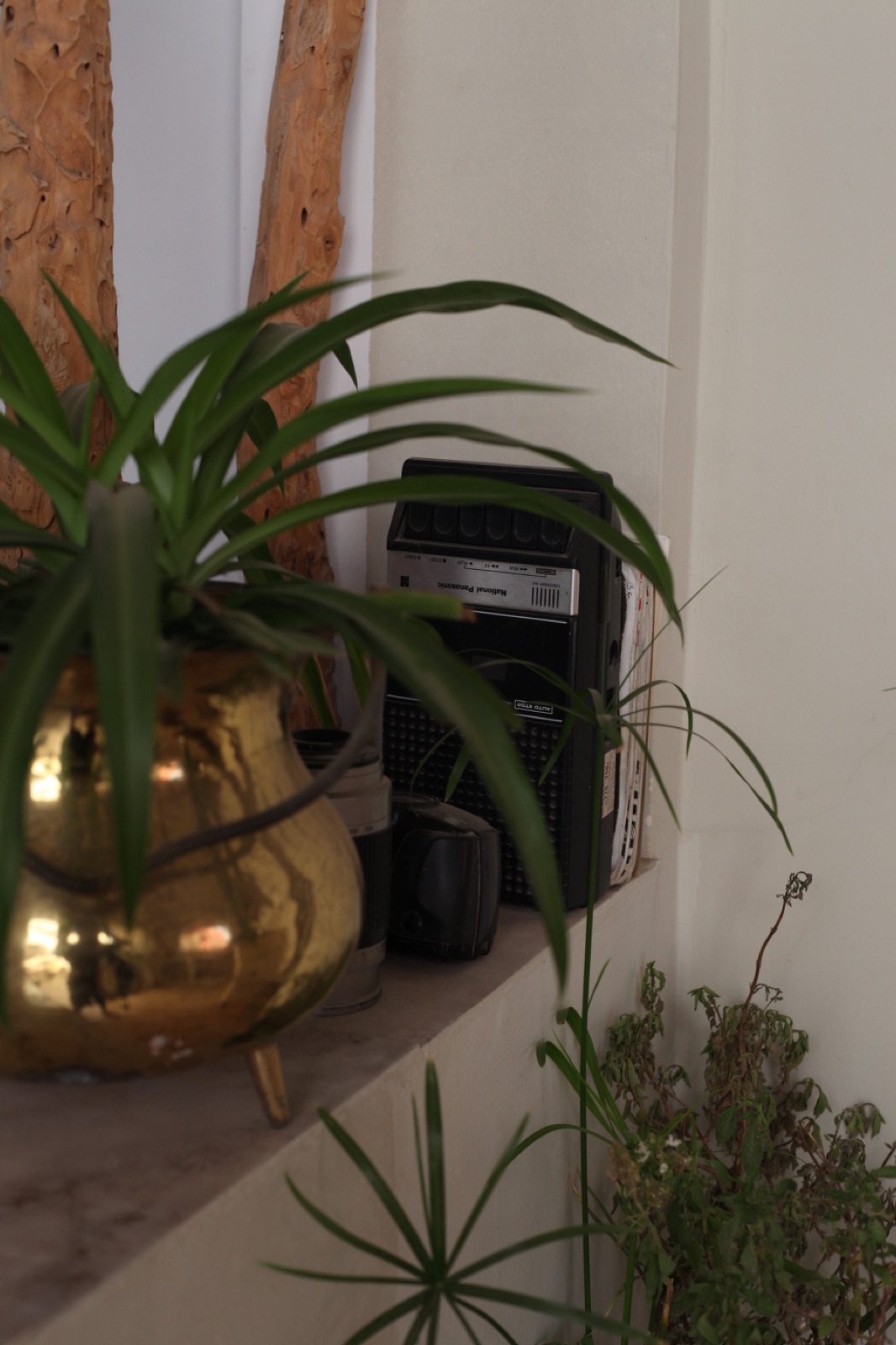 A vintage radio tucked between green plants and a brass pot